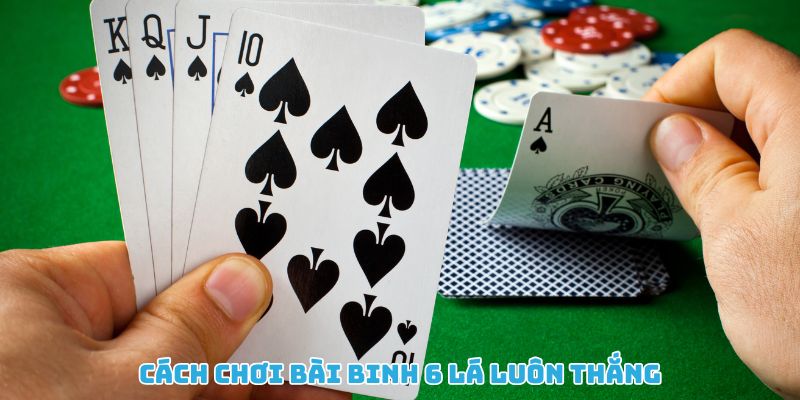 Cách chơi bài binh 6 lá hiệu quả giúp bạn luôn giành thắng