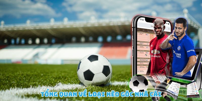 Tổng quan chi tiết về các loại kèo góc nhà cái